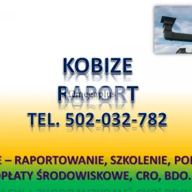 Raportowanie do Kobize cena. tel. 502-032-782. Zgłoszenie do Kobize, obsługa firm.  Założenie konta, Ile kosztuje raport do Kobize ?