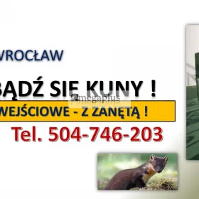 Żywołapka na kuny, cena, tel. 504-746-203, Odbiór Wrocław. Pułapki na kuny.  Sprzedaż i dostawa klatki na kuny oraz montaż na terenie posesji.