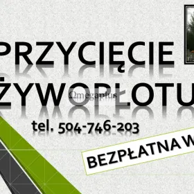 Prace na cmentarzu, Wrocław Osobowice, Grabiszyn, Kiełczowska, cena. Prace ogrodnicze,  cmentarz grabiszyński., osobowicki i inne we Wrocławiu