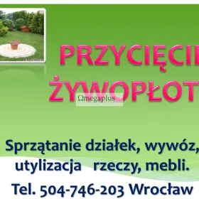 Sprzątanie ogrodu, ogrodnik Wrocław, cena tel 504-746-203, usługi ogrodnicze. Usługi ogrodnicze. Sprzątanie ogrodu i posesji połączone z wywozem.