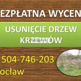 Obcięcie żywopłotu cennik tel 504-746-203. Skrócenie żywopłotu, tui, Wrocław Przycięcie żywopłotu, strzyżenie. Przygotowanie ogrodu.