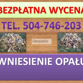 Wnoszenie drewna kominkowego, opału, tel. 504-746-203, Wrocław, wniesienie opału, cena, Wrocław  Usługi wnoszenia drewna kominkowego,