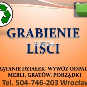 Grabienie liści, cena tel 504-746-203, wywożenie liści, Wrocław Wywóz liści we Wrocławiu, sprzątanie i grabienie liści.