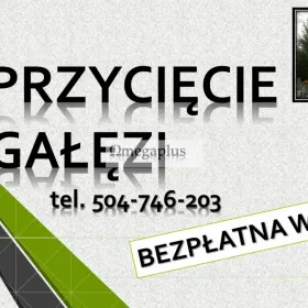 Wycięcie drzewa na cmentarzu Wrocław, tel. 504-746-203, cena.  Usługi wycięcia tui na cmentarzu we Wrocławiu, usunięcie żywopłotu, krzaków, tuji.