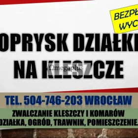 Firma zwalczająca kleszcze, tel. 504-746-203. Ochrona przed kleszczami, Wrocław. Ochrona przed kleszczami, zabezpieczenie terenu. 