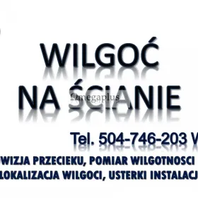 Wykrywanie wilgoci Wrocław, tel. 504-746-203. Sprawdzenie budynku, ściany, cena.  Pomiary wilgotności ściany. Używamy wilgotnościomierz WIP-24, 