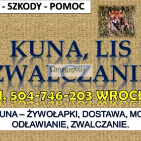 Odławianie dzikich zwierząt, tel. 504-746-203. Wrocław. Lokalizacja, odszukanie.  Odławianie dzikich zwierząt. Odnajdywanie, złapanie oraz lokalizacja