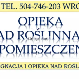 Opieka nad kwiatami i roślinami  w biurze, Cennik  tel. 504-746-203, Wrocław. Serwis kwiatowy, aranżacja i pielęgnacja.