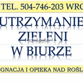 Opieka nad kwiatami i roślinami  w biurze, Cennik  tel. 504-746-203, Wrocław. Serwis kwiatowy, aranżacja i pielęgnacja.