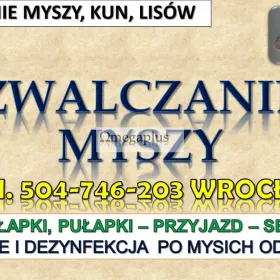 Zwalczanie myszy, Wrocław. tel. 504-746-203 Likwidacja szkodników w domu. Pułapki i odstraszacze, Usługa posprzątanie pomieszczenia i dezynfekcji