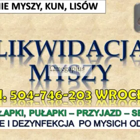 Zwalczanie myszy, Wrocław. tel. 504-746-203 Likwidacja szkodników w domu. Pułapki i odstraszacze, Usługa posprzątanie pomieszczenia i dezynfekcji