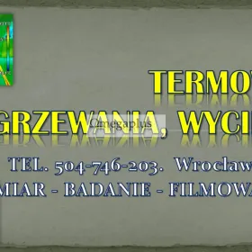 Inspekcja kamerą termowizyjną, Wrocław, tel. 504-746-203, Badanie kamerą termowizyjną ogrzewania. Lokalizacja wycieku pod podłogą i w ścianie