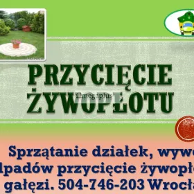 Usługi ogrodnika, Wrocław, tel. 504-746-203. Pielęgnacja zieleni, cena, Sprzątanie działek  i ogródków działkowych. Koszenie zarośli, wysokiej trawy