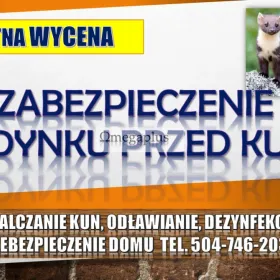 Zabezpieczenie domu przed kuną, tel. 504-746-203, płoszenie, zwalczanie, Wrocław  Oferujemy zabezpieczenie domu przed zwierzętami