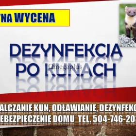 Zabezpieczenie domu przed kuną, tel. 504-746-203, płoszenie, zwalczanie, Wrocław  Oferujemy zabezpieczenie domu przed zwierzętami