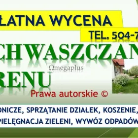 Ogrodnik Wrocław, tel. 504-746-203, Sprzątanie ogrodu, Sadzenie drzew, krzewów. Usunięcie żywopłotu. Koszenie wysokiej trawy