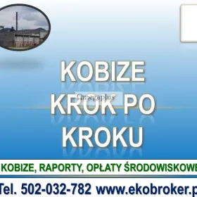 Raport Kobize , szkolenia, terminy tel. 502-032-782, pomoc indywidualna, cena Pomoc indywidulna, online. Obsługa zdalna Kobize.