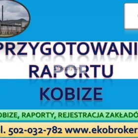 Raport Kobize , szkolenia, terminy tel. 502-032-782, pomoc indywidualna, cena Pomoc indywidulna, online. Obsługa zdalna Kobize.
