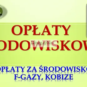 Fgazy, pomoc, Baza danych Sprawozdań, tel. 502-032-782, Warszawa, Łódź, Kraków, Wrocław, Poznań, Gdańsk, Szczecin, Bydgoszcz, Lublin, Katowice, 