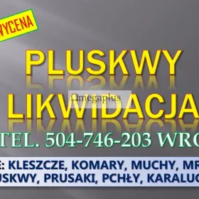 Dezynfekcja na pluskwy, cennik, tel. 504-746-203, Wrocław. Zwalczanie owadów, usługi dezynfekcji w mieszkaniu.  Opryski na robaki