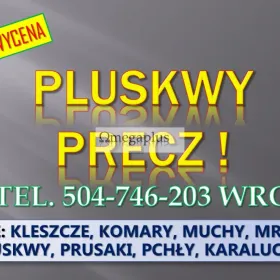 Dezynfekcja na pluskwy, cennik, tel. 504-746-203, Wrocław. Zwalczanie owadów, usługi dezynfekcji w mieszkaniu.  Opryski na robaki