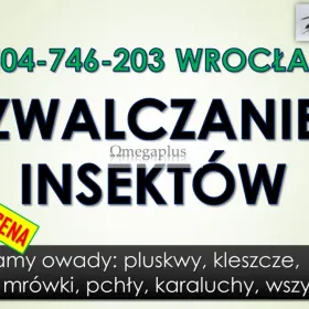 Zwalczanie robactwa cena, tel. 504-746-203, Wrocław. Likwidacja insektów i usuwanie szkodników.