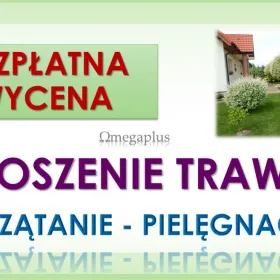 Porządkowanie działek, Wrocław. Tel. 504-746-203, sprzątanie ogródka działkowego, cennik. Koszenie trawy. Podcinanie roślin. Karczowanie korzeni.