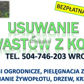Usuwanie mchu z kostki, Wrocław, tel. 504-746-203. Czyszczenie kostki brukowej, cena.  Mycie kostki brukowej , cennik usługi.