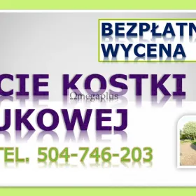 Usuwanie mchu z kostki, Wrocław, tel. 504-746-203. Czyszczenie kostki brukowej, cena.  Mycie kostki brukowej , cennik usługi.