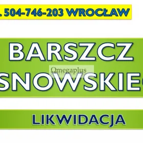 Usuwanie barszczu Sosnowskiego, tel. 504-746-203, zwalczanie, cennik, Wrocław.  Likwidacja barszczu Sosnowskiego.  