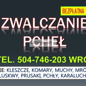 Oprysk na pchły, Wrocław tel. 504-746-203. Sposób na pozbycie się pcheł  Usługi dezynfekcji na pchły w mieszkaniu. Stosujemy preparat który działa.