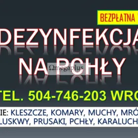 Oprysk na pchły, Wrocław tel. 504-746-203. Sposób na pozbycie się pcheł  Usługi dezynfekcji na pchły w mieszkaniu. Stosujemy preparat który działa.