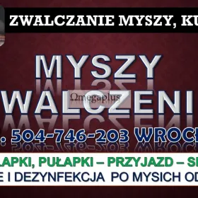 Likwidacja myszy cennik tel. 504-746-203. Wrocław. Usunięcie i zwalczanie. Firma zwalczająca myszy. 