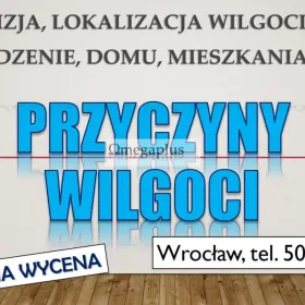 Lokalizacja i pomiar wilgoci, tel. 504-746-203, Wrocław, wilgoć, przyczyny, osuszanie  Jak pozbyć się wilgoci w mieszkaniu?