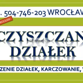Czyszczenie działki, cena, tel. 504-746-203, Wrocław, Renowacja i pielęgnacja ogrodu