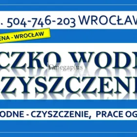Czyszczenie oczek wodnych, Wrocław, tel. 504-746-203. Oczyszczenie oczka wodnego, cena