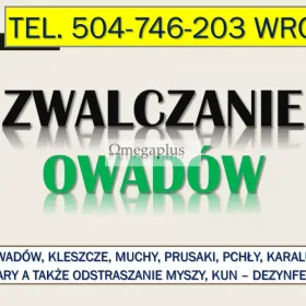 Likwidacja kleszczy, Wrocław, tel. 504-746-203. Opryskiwanie na kleszcze, cennik