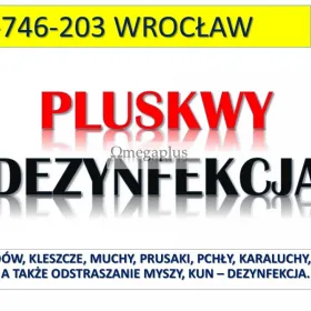 Usunięcie pluskiew z mieszkania, tel. 504-746-203, Wrocław. Pluskwy dezynfekcja. Zwalczanie pajęczaków w mieszkaniach