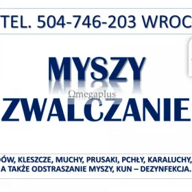 Likwidacja i odławianie myszy, tel. 504-746-203, Wrocław. Cennik zwalczanie myszy, Zwalczanie myszy w budynkach mieszkalnych