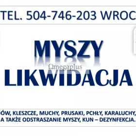 Likwidacja i odławianie myszy, tel. 504-746-203, Wrocław. Cennik zwalczanie myszy, Zwalczanie myszy w budynkach mieszkalnych