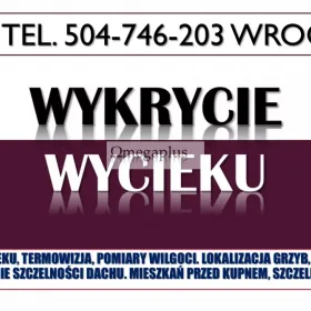 Wyciek lokalizacja, Wrocław, tel. 504-746-203. Cena za wykrycie wycieku wody w mieszkaniu, Sprawdzenie i oględziny miejsc trudnodostępnych