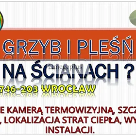 Wykrycie miejsca strat ciepła, Wrocław, tel. 504-764-203.  Lokalizacja pleśni i grzybów oraz wilgoci na ścianie.  Badanie termowizyjne. Cennik