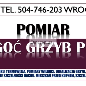Usługi kamerą termowizyjną, Wrocław. tel. 504-746-203. Termowizja zastosowanie.
