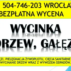 Przycinanie gałęzi, cena tel. 504-746-203, Wrocław,  wycinka, wycinanie drzew, cięcie drzew, Podcięcie gałęzi, zasłaniających okna, przerośniętych