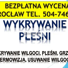 Wykrycie grzyba w mieszkaniu, tel. 504-746-203, Wrocław, lokalizacja pleśni i wilgoci.  Jak pozbyć się grzyba w mieszkaniu?