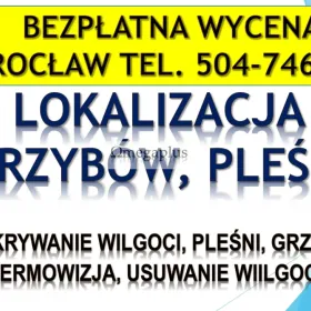 Wykrycie grzyba w mieszkaniu, tel. 504-746-203, Wrocław, lokalizacja pleśni i wilgoci.  Jak pozbyć się grzyba w mieszkaniu?