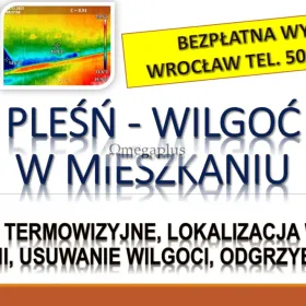 Wykrywanie i przyczyny wilgoci, Wrocław, tel. 504-746-203, cena. Grzyb na ścianie, usuwanie.  Przyczyny pojawienia się wilgoci i pleśni mieszkaniu.