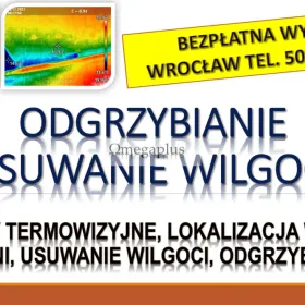Wykrywanie i przyczyny wilgoci, Wrocław, tel. 504-746-203, cena. Grzyb na ścianie, usuwanie.  Przyczyny pojawienia się wilgoci i pleśni mieszkaniu.