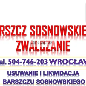 Likwidacja i usunięcie barszczu Sosnowskiego, cennik tel. 504-746-203. Firma usuwająca barszcz Sosnowskiego. Skuteczny sposób.