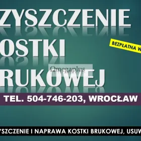 Usuwanie plam z kostki brukowej, cennik tel. 504-746-203, Wrocław, Czyszczenie  Zabrudzenie na kostce brukowej 